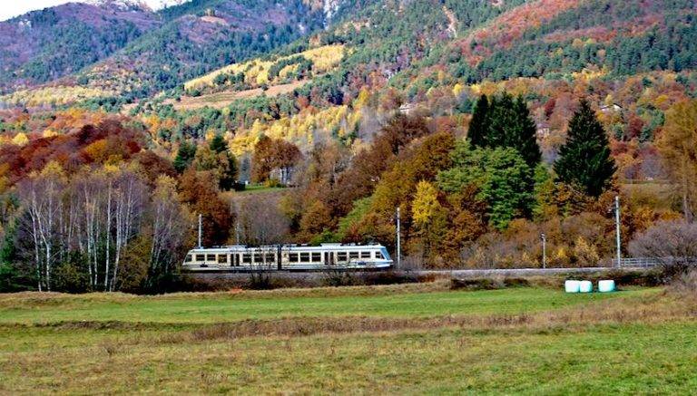 Ammirare il foliage dal finestrino di un treno